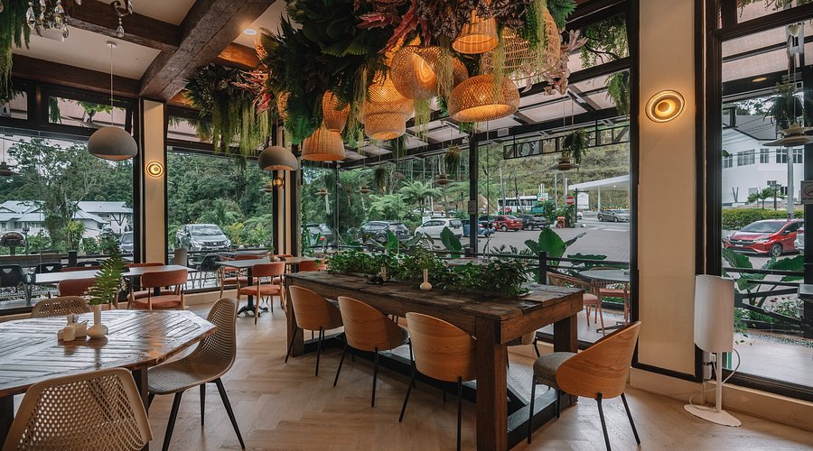 Restaurant & Cafes